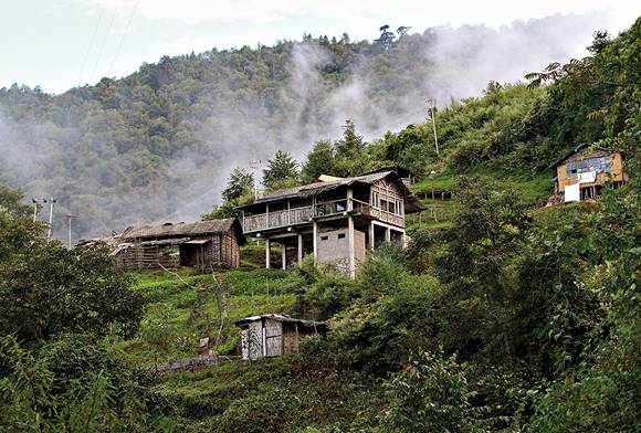 The Butterflies Of The Eastern Himalaya