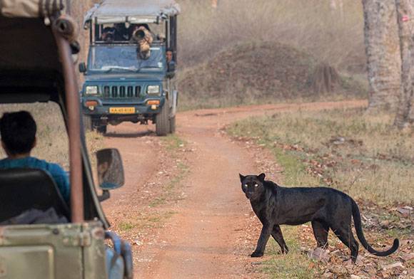 Corbett National Park: The Early Days