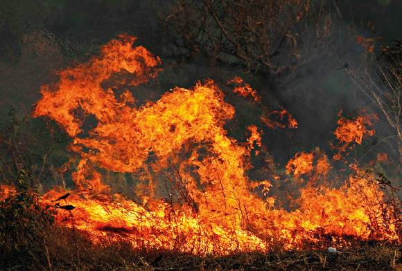 Conflagrations