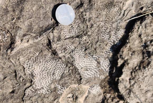 Time Travel Through Kashmir