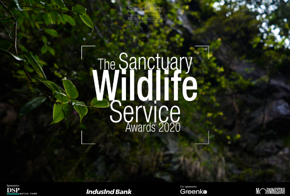 The Sanctuary Wildlife Awards 2020