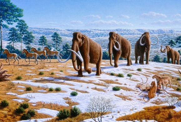 The Frozen Ark