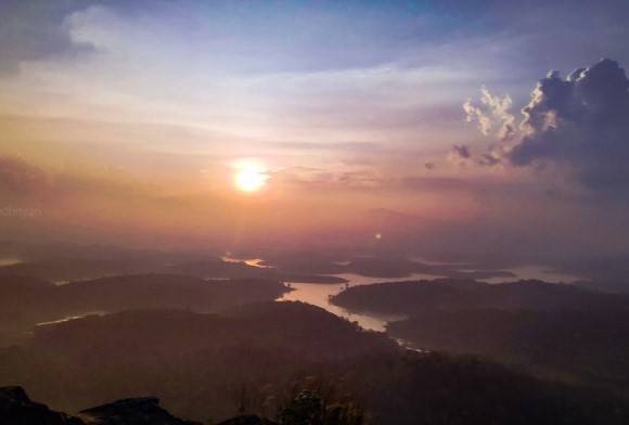 Rescuing Wildlife and Finding Hope in Wayanad