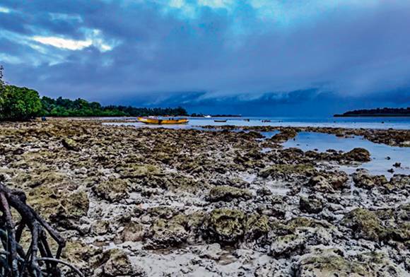 On The Sands Of The Andamans