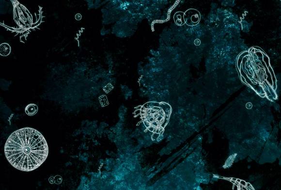"My Fears Were Subdued by Curiosity": Getting Creative with Pooja Gupta