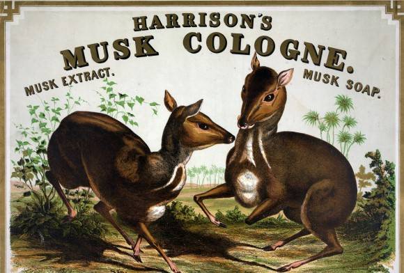 The Sanctuary Papers: June 2021