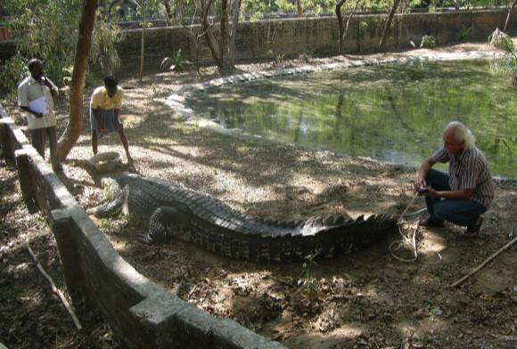 Size Matters