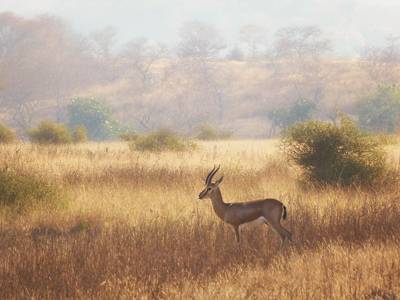 Magazine Thumbnail