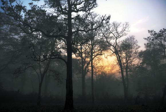 Days Of Journalism Past