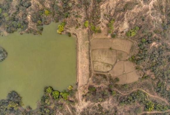 Regenerate, Restore, Rebirth.