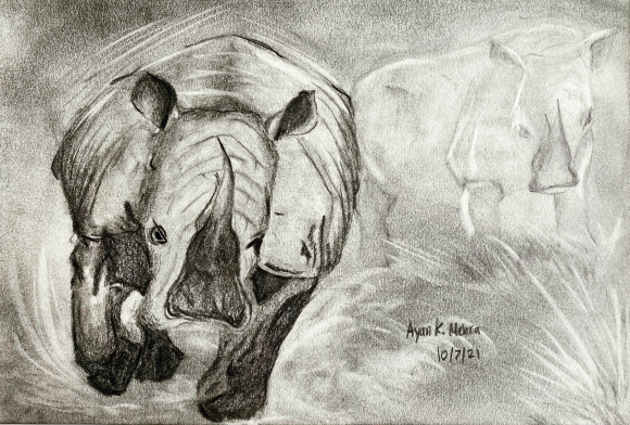 Art for Wild Animals