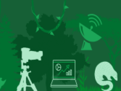 Magazine Thumbnail