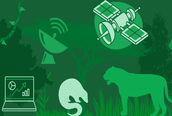 How Technology has improved Anti-poaching Efforts