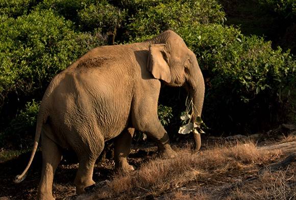The Habitats Trust Grants 2021: Meet the Recipients!