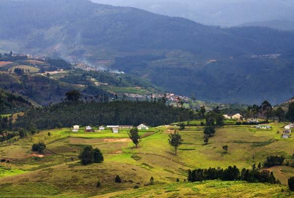 Homegrown with Love: The Kodai Chronicle Trust