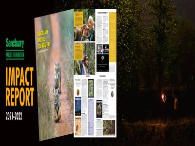Magazine Thumbnail