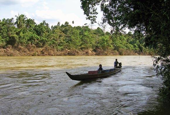 Birding In Peninsular Malaysia