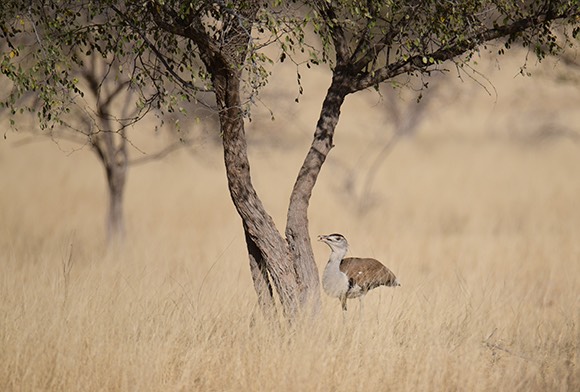 Mud on Boots Project: June 2022