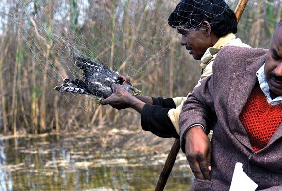Bhagalpur’s Empty Jheels
