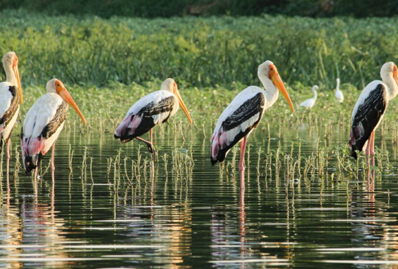 Cub News September 2022