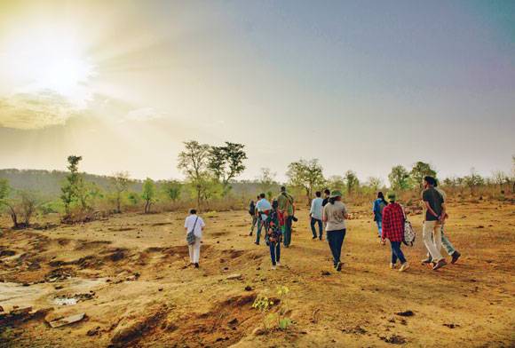 Wild Experiences Led By Communities