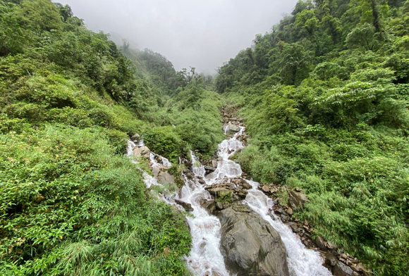 Dam-Impacted Communities Urge FAC to Reconsider Dibang Project