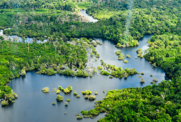 Did You Know November 2022