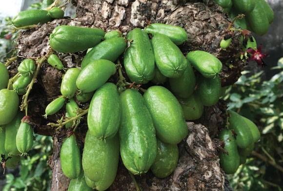 Flowers In Unusual Places