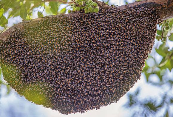 Nature Watch March 2023