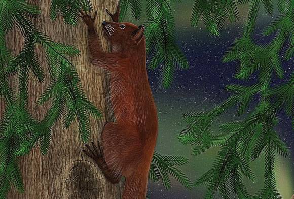 Humanimals March 2023