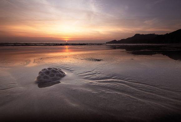 The Theatrics Of Great Nicobar Island Life
