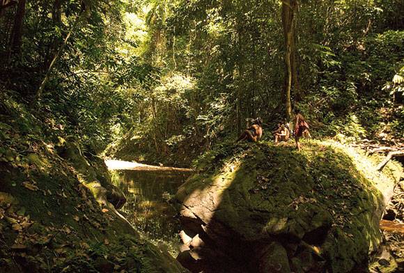 Remembering Patai Takaru - The Big Island