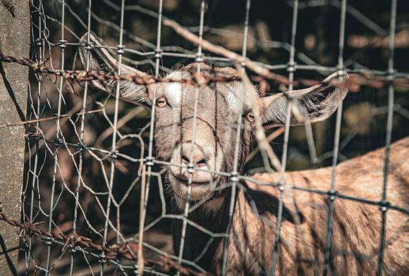 Stand Up For Their Rights.