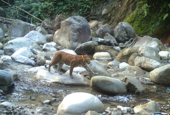 Rediscovering The Mundane