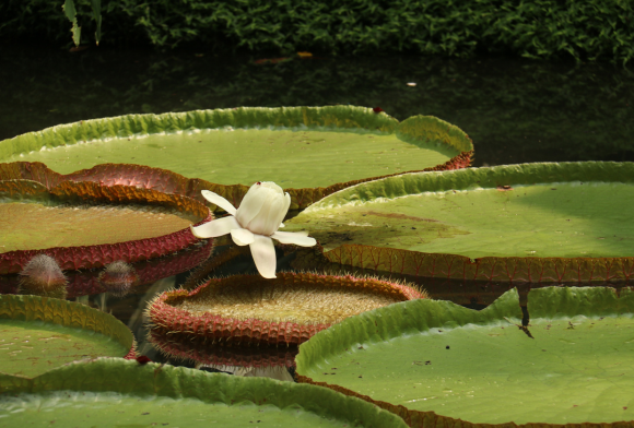 Quiet Kingdoms July 2023