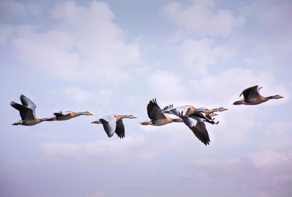 Did You Know July 2023