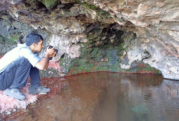 Green Peeps July 2023