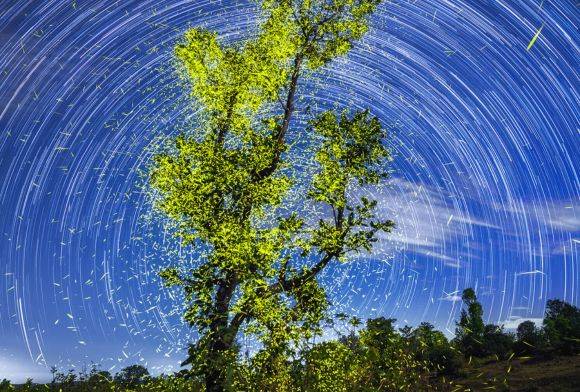 Nature Watch September 2023