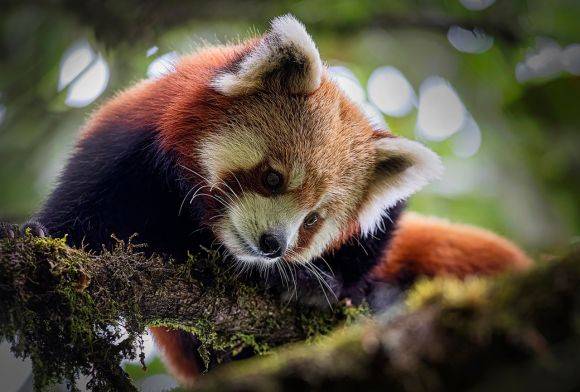 Indian Idol September 2023