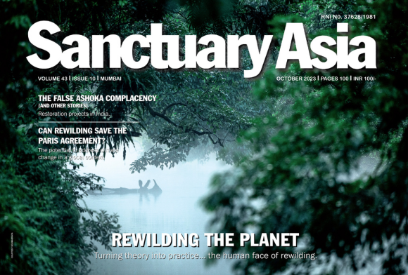 Sanctuary Asia October 2023