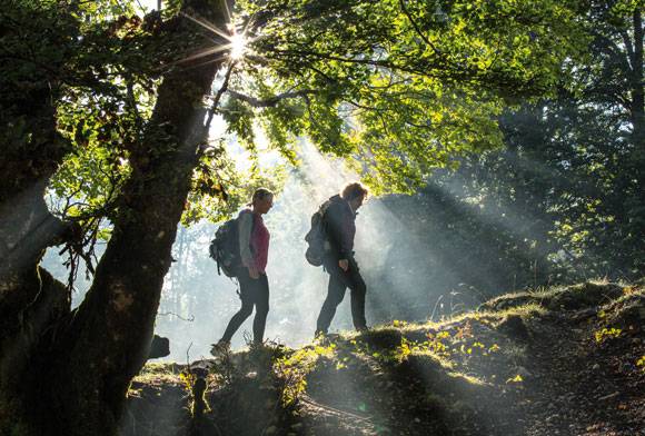 Taking Nature Recovery To The Next Level