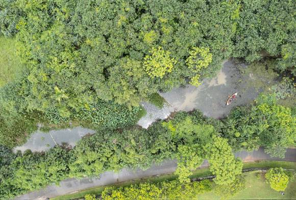 Rewilding What Has Always Been Wild Sri Lankan Restoration Stories