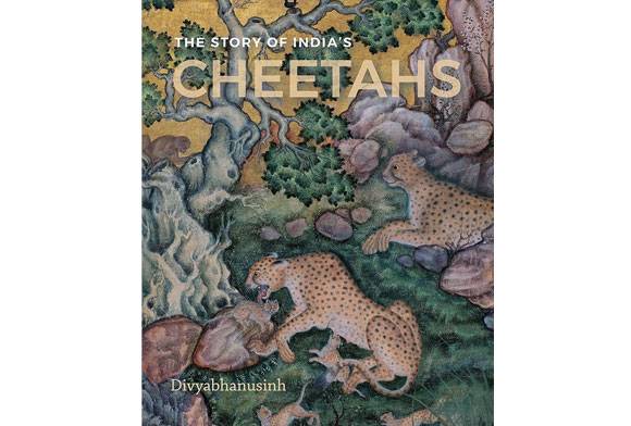 The Story of India’s Cheetahs
