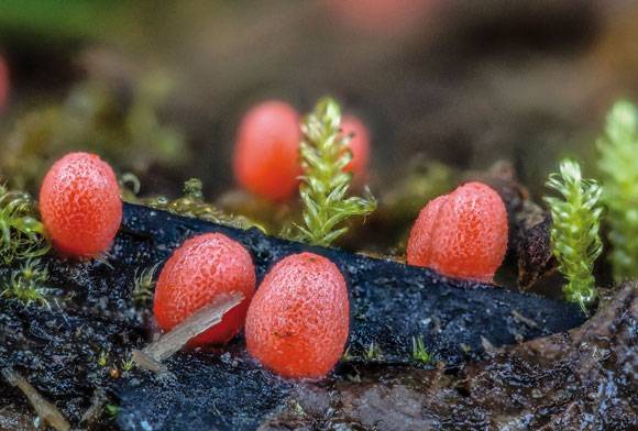 Aiding And Abetting Intelligence