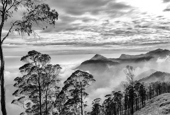 Sky Islands: A Personal Journey Through An Endangered Indian Landscape
