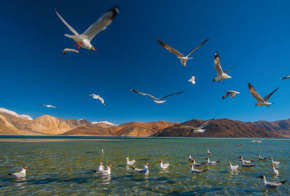 Cub News January 2024