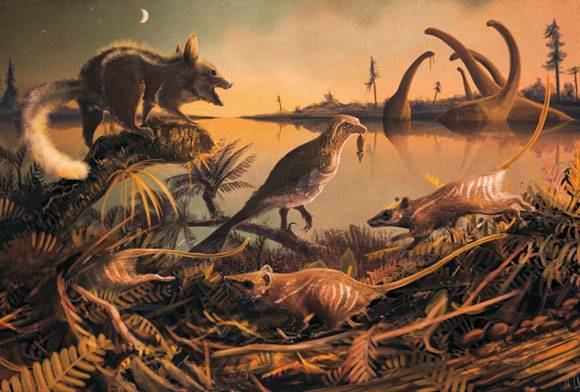 Humanimals January 2024