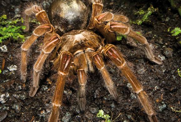 Did You Know - March 2024