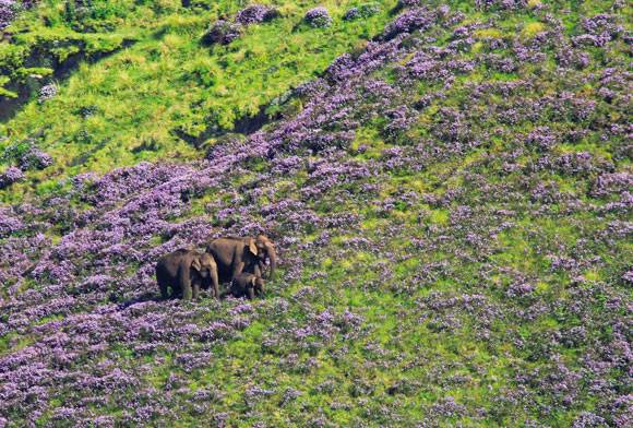 Indian Idol - March 2024