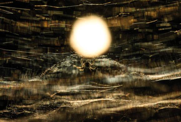 Worth A Thousand Words: Ever Wonder How An Image Was Taken?